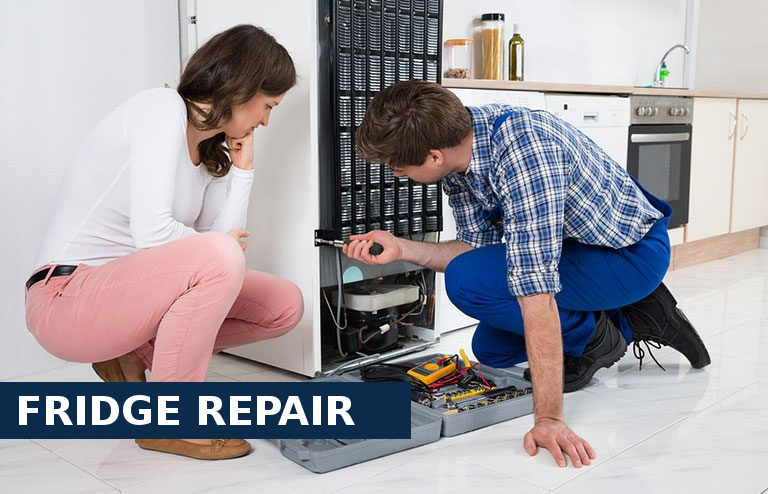 Fridge Repair Muswell Hill